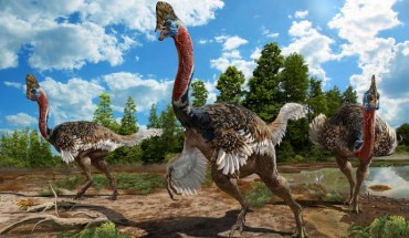 The living scene of Corythoraptor jacobsi. Image credit: Zhao Chuang.