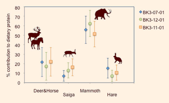 Proportional contribution of Deer&Horse (red deer and horse), Saiga (saiga antelope), Mammoth (woolly mammoth) and Hare (hare) as estimated by Drucker et al for human remains from different layers of Buran-Kaya III; each symbol corresponds to the mean protein diet contribution to a given human individual. Bars indicate standard deviations. Image credit: Drucker et al, doi: 10.1038/s41598-017-07065-3.