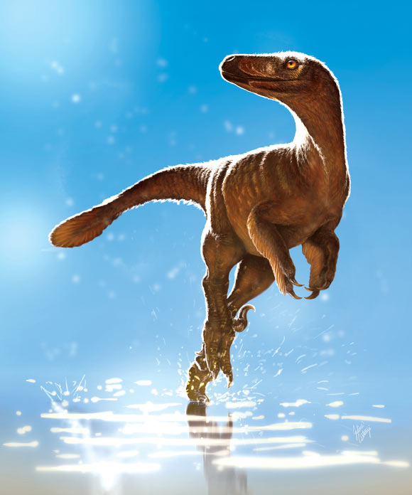 Life reconstruction of Latenivenatrix mcmasterae. Image credit: Julius Csotonyi.
