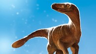 Life reconstruction of Latenivenatrix mcmasterae. Image credit: Julius Csotonyi.