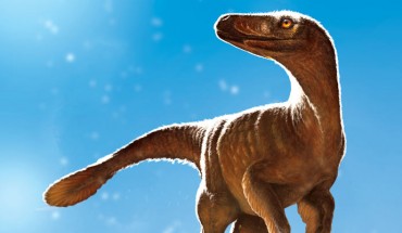 Life reconstruction of Latenivenatrix mcmasterae. Image credit: Julius Csotonyi.