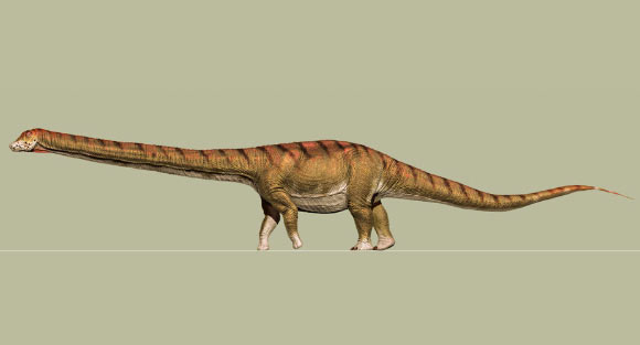 Life reconstruction of Patagotitan mayorum. Image credit: Jorge Gonzalez.