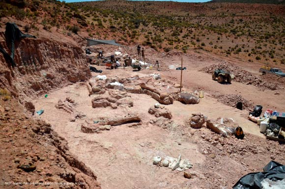The discovery site is located in the center of the Province of Chubut, about 162 miles (260 km) from the city of Trelew and near the town of El Sombrero. Image credit: Museo Egidio Feruglio.