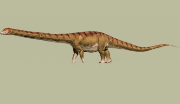 Life reconstruction of Patagotitan mayorum. Image credit: Jorge Gonzalez.