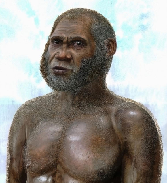 Artist’s reconstruction of an Asian caveman. Image credit: Peter Schouten.