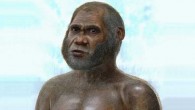 Artist’s reconstruction of an Asian caveman. Image credit: Peter Schouten.