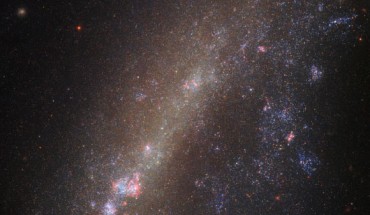This image from the NASA/ESA Hubble Space Telescope shows the dwarf spiral galaxy IC 1727. Image credit: NASA / ESA / Hubble.