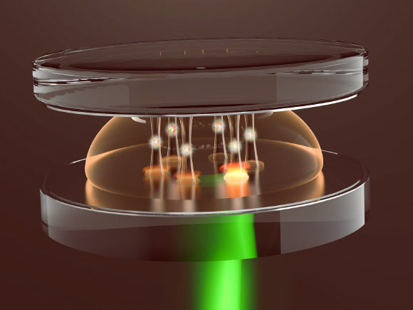 The artist’s rendering shows how potential ‘wells’ are created for photons in the microresonator through heating with an external laser beam (green). Image credit: David Dung, University of Bonn.