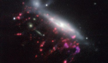 This image of the ‘jellyfish’ galaxy JO204 shows clearly how material is streaming out of the galaxy in long tendrils to the lower-left; red shows the glow from ionized hydrogen gas and the whiter regions are where most of the stars in the galaxy are located; some more distant galaxies are also visible. Image credit: ESO / GASP Collaboration.