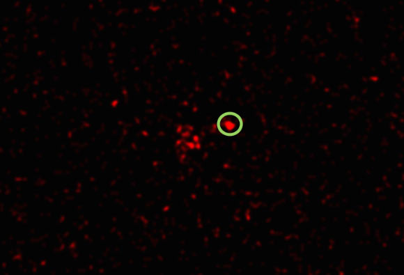 An image showing X-rays detected from the Type Ia supernova SN 2012ca (inside the circle). According to astronomers, SN 2012ca occurred in the spiral-shaped galaxy ESO 336-G009, located about 260 million light-years away. Image credit: Vikram Dwarkadas / Chandra X-ray Observatory.