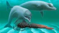 A rendering of Inermorostrum xenops. Image credit: Robert Boessenecker.