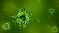 Kowarsky et al discovered that the human body contains a vast and unexpected diversity of microbes, many of which have highly divergent relationships to the known tree of life. Image credit: Arek Socha.