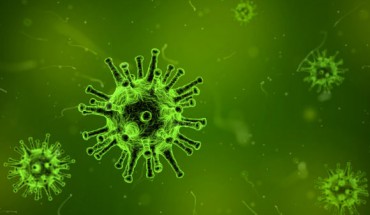 Kowarsky et al discovered that the human body contains a vast and unexpected diversity of microbes, many of which have highly divergent relationships to the known tree of life. Image credit: Arek Socha.
