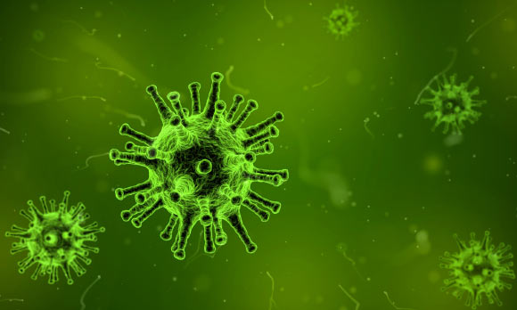 Kowarsky et al discovered that the human body contains a vast and unexpected diversity of microbes, many of which have highly divergent relationships to the known tree of life. Image credit: Arek Socha.