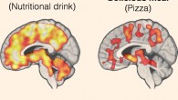 Eating both bland (left panel) and delicious (right panel) meals triggered significant opioid release in the brain. Image credit: University of Turku.