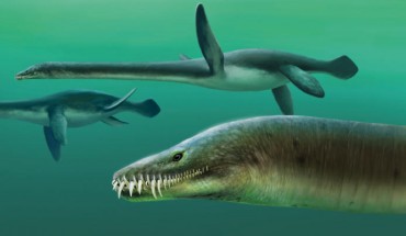 Life reconstruction of Lagenanectes richterae. Image credit: Frederik Spindler.
