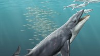 Reconstruction of the ancient toothed whale Janjucetus. Image credit: Carl Buell.