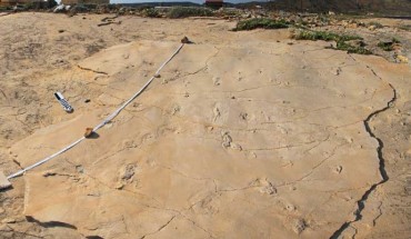 The Trachilos footprints were discovered by Dr. Gerard Gierlinski, a paleontologist at the Polish Geological Institute, by chance when he was on holiday on Crete in 2002. Dr. Gierlinski identified the footprints as those of a mammal. In 2010, he returned to the site together with Dr. Grzegorz Niedzwiedzki, a Polish paleontologist at Uppsala University, to study the footprints in detail. Together they came to the conclusion that the footprints were made by hominins. Image credit: Andrzej Boczarowski.