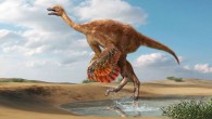 Aepyornithomimus tugrikinensis. Image credit: Masato Hattori.