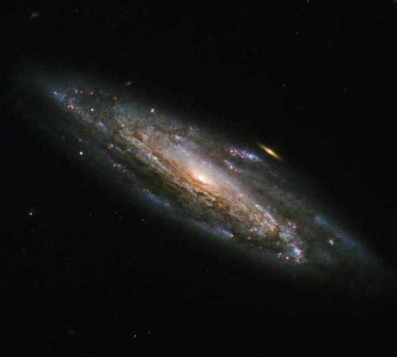 This Hubble image shows the barred spiral galaxy NGC 5559, which lies in the constellation Boötes, about 252 million light-years away. Image credit: NASA / ESA / Hubble.