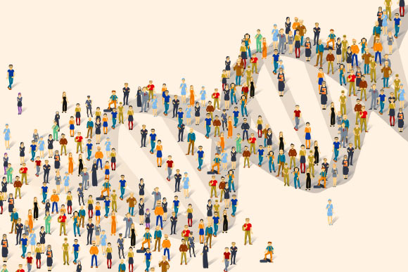 Mostafavi et al found a drop in some harmful genetic mutations in longer-lived people. Image credit: Darryl Leja, NHGRI / CC BY 2.0.