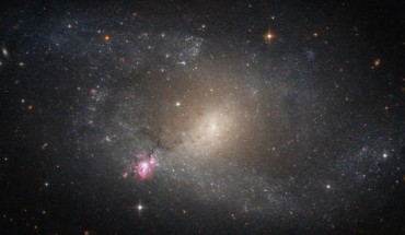 This image, taken with the Advanced Camera for Surveys on board the NASA/ESA Hubble Space Telescope, shows the barred spiral galaxy NGC 5398. Image credit: NASA / ESA / Hubble.