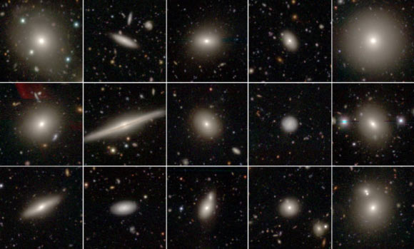 A selection of SAMI galaxies imaged with NAOJ’s Subaru Telescope. Image credit: National Astronomical Observatory of Japan / Caroline Foster, University of Sydney / Dan Taranu, University of Western Australia.