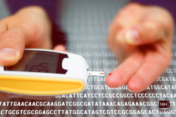 A finger stick helps patients with diabetes take control of their blood sugar levels. Image credit: Darryl Leja National, Human Genome Research Institute.