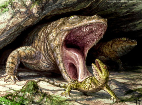 The Early Permian dissorophoid temnospondyl Cacops morrisi displays its fearsome dentition as it preys on the hapless reptile Captorhinus. Image credit: Brian Engh, dontmesswithdinosaurs.com.