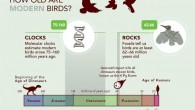 This is the ‘Liliput Timeline.’ Image credit: Cornell Lab of Ornithology.