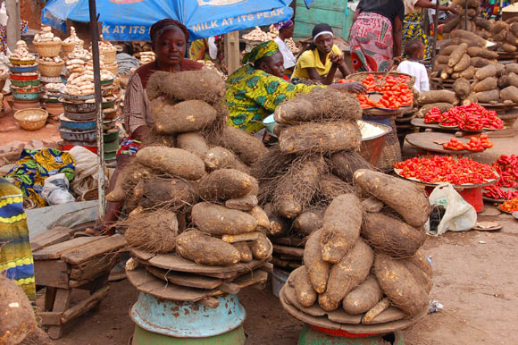 Woman selling yam tubers at Oje market in Ibadan, Nigeria. Image credit: International Institute of Tropical Agriculture.