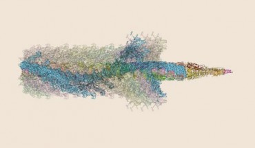 The structure of T6SS during contraction. Image credit: University of Basel, Biozentrum.