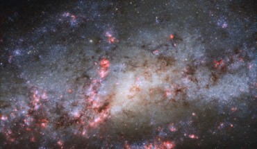 This Hubble image shows the galaxy NGC 4490. Image credit: NASA / ESA / Hubble / D. Calzetti, UMass / LEGUS Team / J. Maund, University of Sheffield / R. Chandar, University of Toledo.