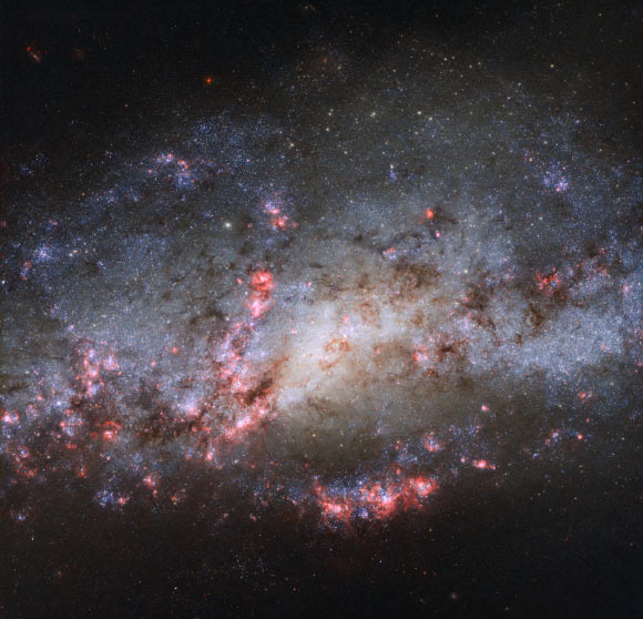 This Hubble image shows the galaxy NGC 4490. Image credit: NASA / ESA / Hubble / D. Calzetti, UMass / LEGUS Team / J. Maund, University of Sheffield / R. Chandar, University of Toledo.