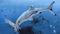 Reconstruction of a newborn Ichthyosaurus communis. Image credit: Julian Kiely.