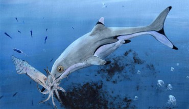 Reconstruction of a newborn Ichthyosaurus communis. Image credit: Julian Kiely.