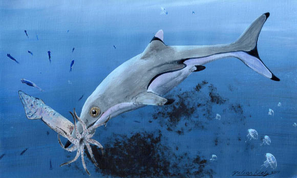 Reconstruction of a newborn Ichthyosaurus communis. Image credit: Julian Kiely.