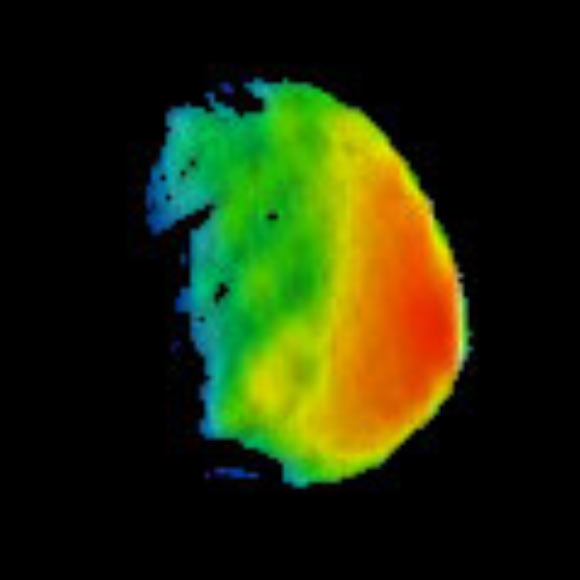 This image combines two products from the first pointing at Phobos by Mars Odyssey’s THEMIS camera. Surface-temperature information from observation in thermal-infrared wavelengths is overlaid on a more detailed image from a visible-light observation. The left edge of the small moon was in darkness, and the right edge in morning sunlight. The distance to Phobos from Mars Odyssey during the observation was about 3,424 miles (5,511 km). Researchers will analyze the surface-temperature information from this observation and possible future THEMIS observations to learn how quickly the surface warms after sunup or cools after sundown. That could provide information about surface materials, because larger rocks heat or cool more slowly than smaller particles do. The thermal information in this image is from merging observations made in four thermal-infrared wavelength bands, centered from 11.04 microns to 14.88 microns. Image credit: NASA / JPL-Caltech / Arizona State University.