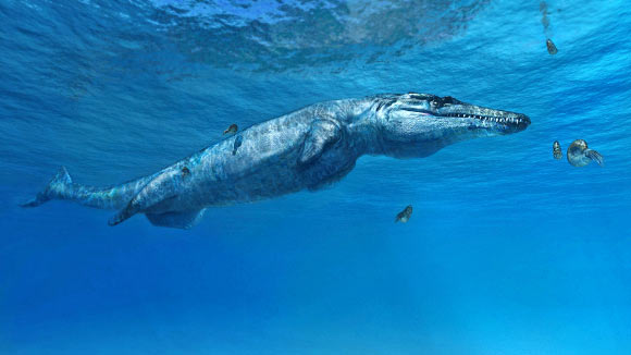 Ieldraan melkshamensis -- nicknamed the Melksham Monster after the town where it was unearthed -- closely resembled the species shown in this artist’s impression (Plesiosuchus manselii), which also belongs to the Geosaurini group. Image credit: Fabio Manucci. 