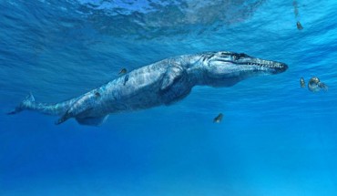 Ieldraan melkshamensis -- nicknamed the Melksham Monster after the town where it was unearthed -- closely resembled the species shown in this artist’s impression (Plesiosuchus manselii), which also belongs to the Geosaurini group. Image credit: Fabio Manucci.