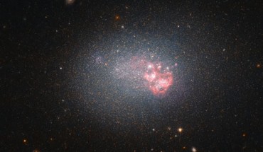 This image, taken with the Advanced Camera for Surveys on board the NASA/ESA Hubble Space Telescope, shows the blue compact dwarf galaxy LEDA 17302. Image credit: NASA / ESA / Hubble.