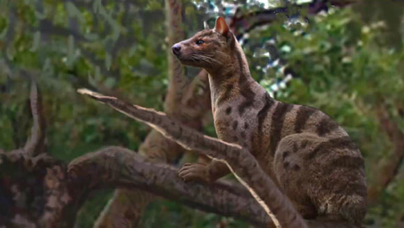 Artist’s reconstruction of Pakakali rukwaensis. Image credit: NSF / Ohio University.