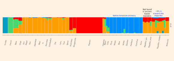 Ancestry proportions of the ancient Rapanui samples when compared to the reference population dataset. Image credit: Fehren-Schmitz et al, doi: 10.1016/j.cub.2017.09.029.
