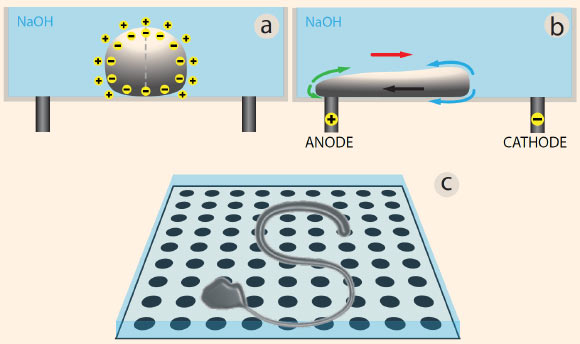 Tokuda et al apply electrical charges to morph liquid metal into 2D shapes. How the electric field creates deformation: (a) a liquid metal blob far from the electrodes and in absence of field is subject to no force; (b) deformation occurs when the blob is in contact with one of the electrodes and an electric voltage is applied across it; (c) deformation in this work as a 2D process. Image credit: INTERACT Lab, University of Sussex.