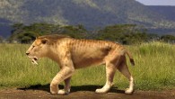 Smilodon populator. Image credit: Rom-diz / CC BY-SA 3.0.