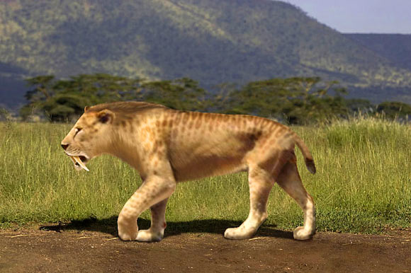 Smilodon populator. Image credit: Rom-diz / CC BY-SA 3.0.