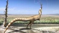 An artistic interpretation of Sinosauropteryx prima in the likely open habitat in which it lived 125 million years ago in the Early Cretaceous epoch. Image credit: Robert Nicholls.