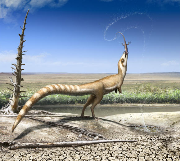 An artistic interpretation of Sinosauropteryx prima in the likely open habitat in which it lived 125 million years ago in the Early Cretaceous epoch. Image credit: Robert Nicholls.
