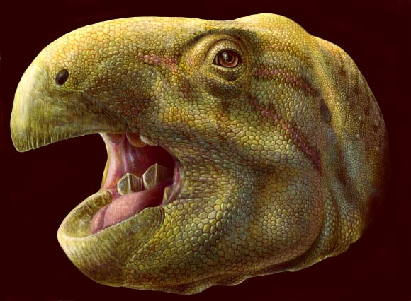 Artist’s impression of Matheronodon provincialis. Image credit: Lukas Panzarin.