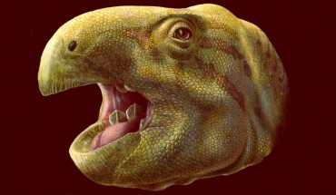 Artist’s impression of Matheronodon provincialis. Image credit: Lukas Panzarin.